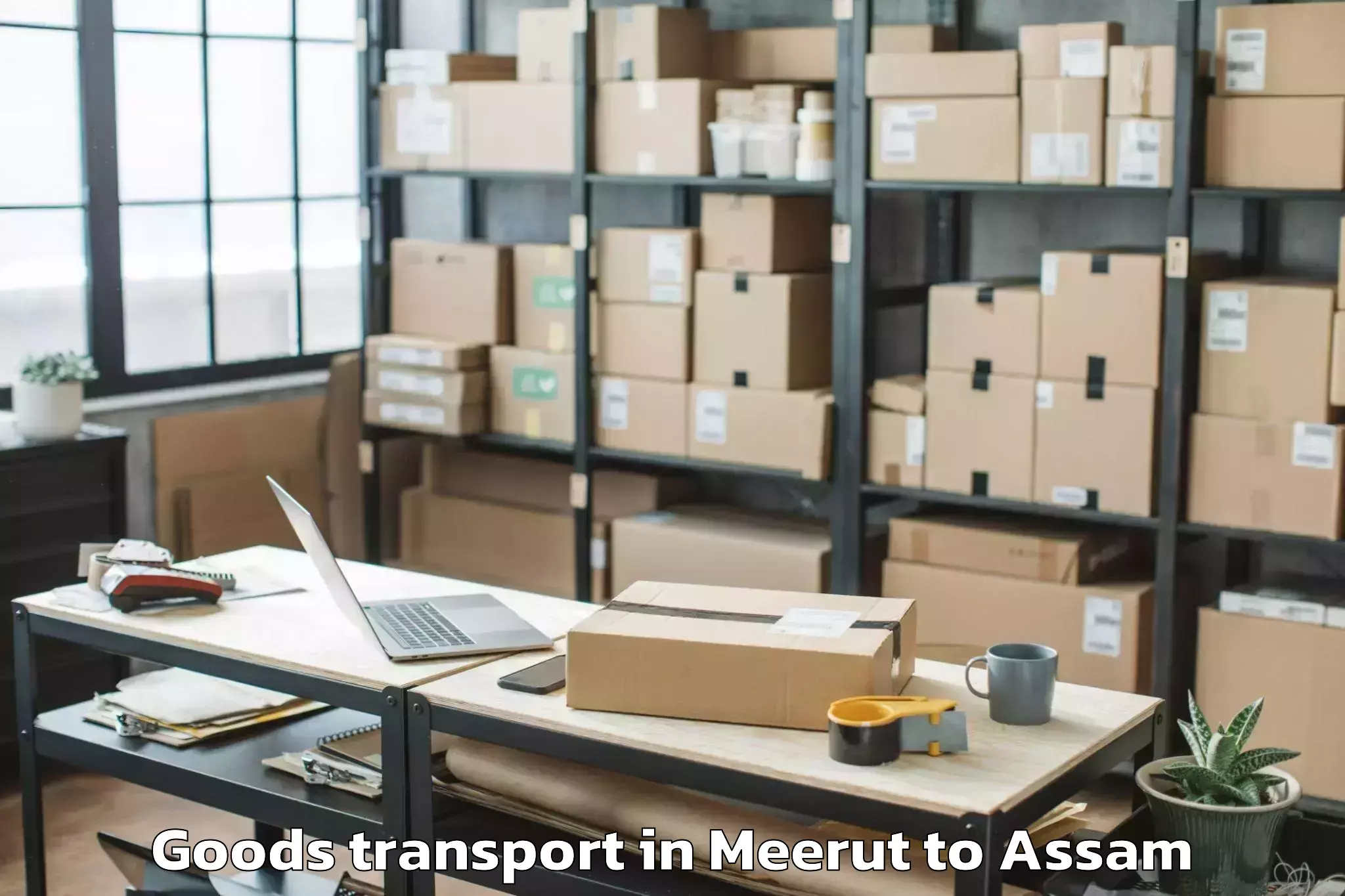 Efficient Meerut to Umrangso Goods Transport